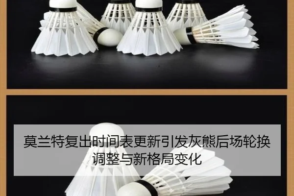 莫兰特复出时间表更新引发灰熊后场轮换调整与新格局变化